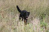 BEAUCERON 316